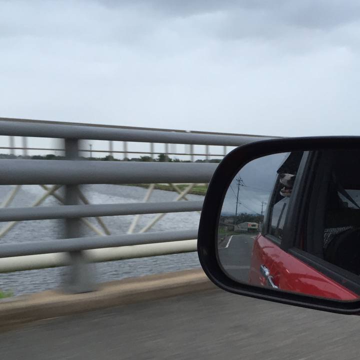 19dc9ca4 f56d 40e1 8f14 17684f07faef 1534280472473