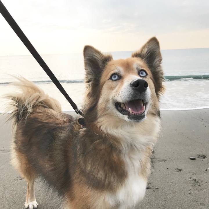 19dcd556 59d7 4fbd ab20 ba1ca3ce623e 1516428164361