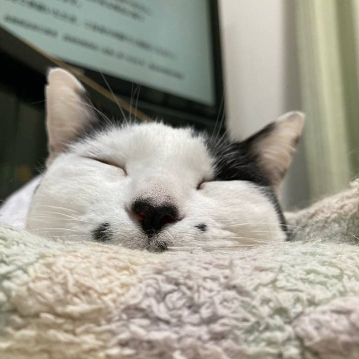 19dcd5cb ab15 4377 bcc7 1cc4ef61e54d 1767347164441