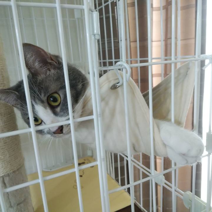 19dd26f8 8915 4da0 baf1 555fcf4e773c 1588549877216