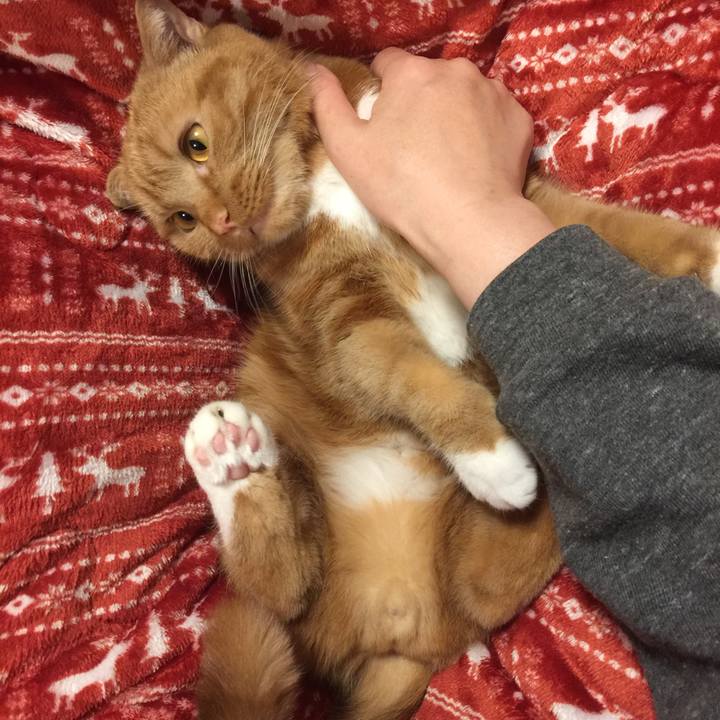 19dd2e44 c904 4f22 9d3e 8411bd2c66de 1546088225675