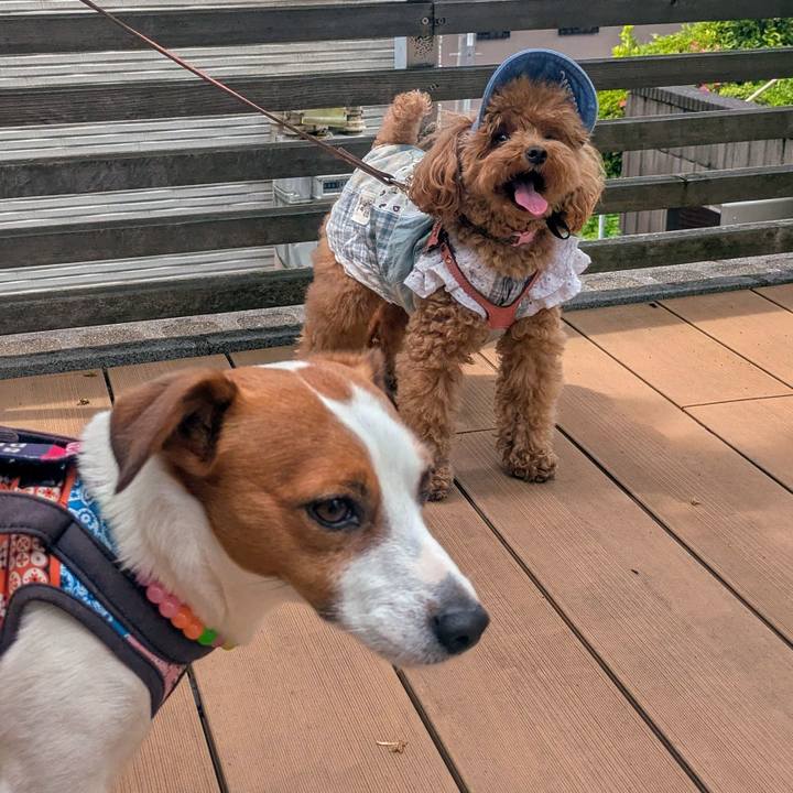 19dd3e31 7a32 4648 8ced d549cce34af6 1747442541055