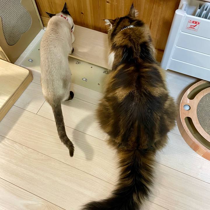 19dd655a 7165 4ae0 a190 399db79db4a9 1705401451792