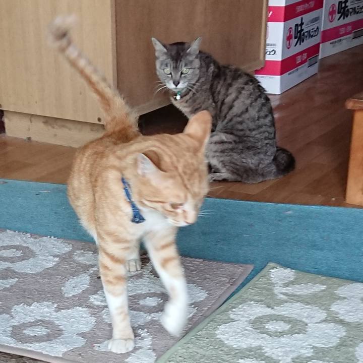 19dd801e 5738 4e86 a1b3 5ef0cc92dfd9 1562231359390