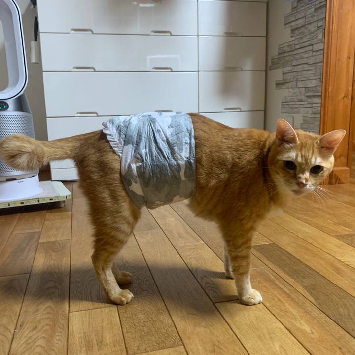 19dd9fde f631 40b5 8338 27beecbdd9ac 1665578910647