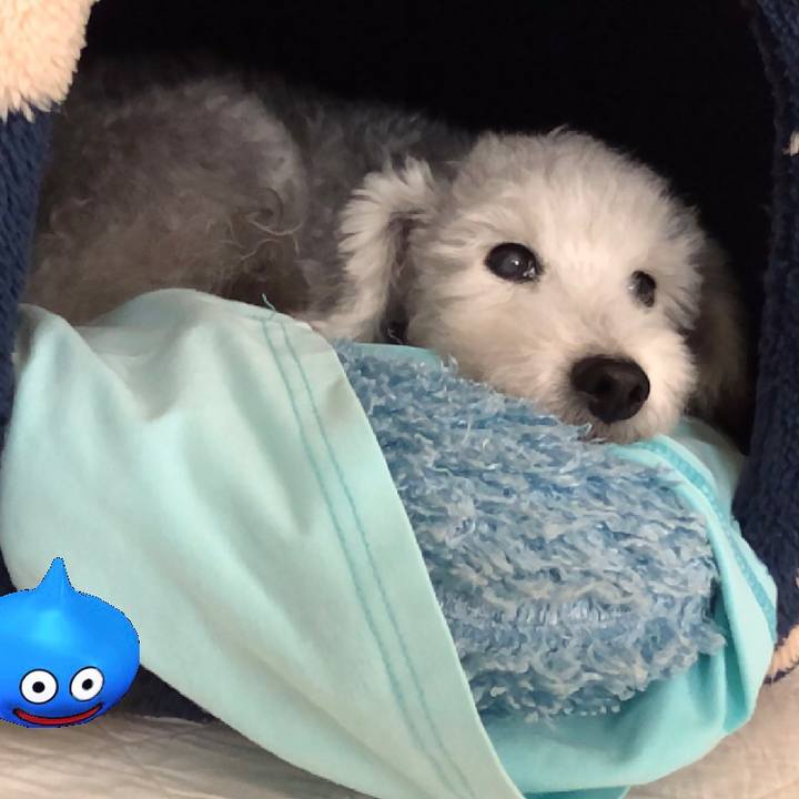 19ddb3b6 9ff8 44ab ab3c 7715a84920e9 1600128586689