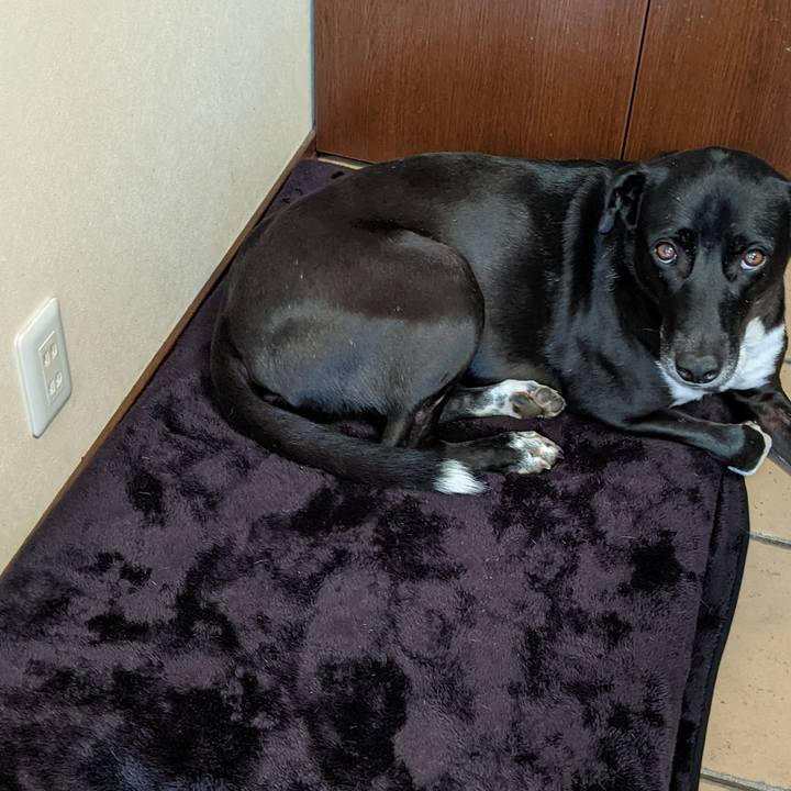 19ddbe5c 667c 469b a20d efa51620c77f 1636935380061