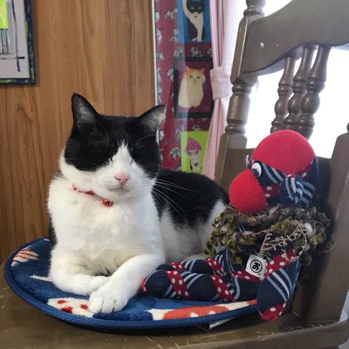 19ddc860 06bd 424a 95d6 128393fc4c34 1588669519821