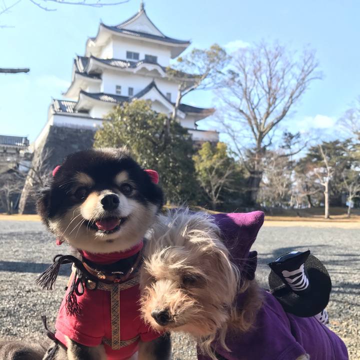 19ddebb9 c4bf 4363 9623 cade8ec44a77 1549376425704