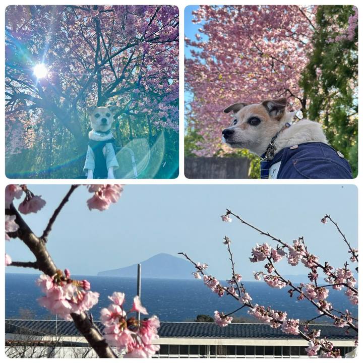 19ddf128 6f18 4f7c bf8d 22e164fb753b 1677999343318