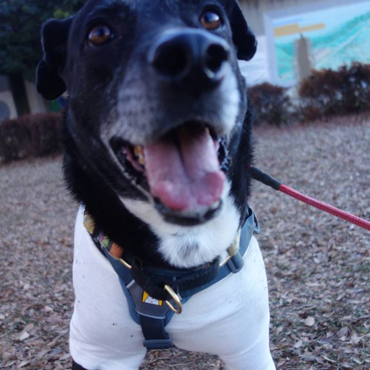 19ddf514 5944 4f1e aae7 195f3c4dcdbc 1704762228165