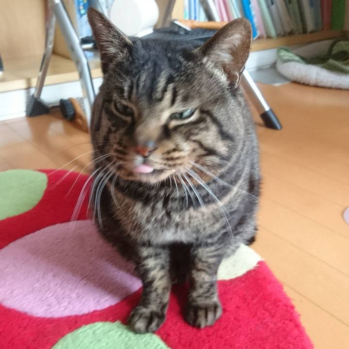 19ddf548 c26c 421b a4b3 fa3f7c0bea17 1523074047133