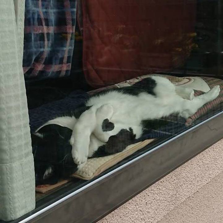 19de0fe8 0ce6 4268 becc 245a3b242334 1672624477873