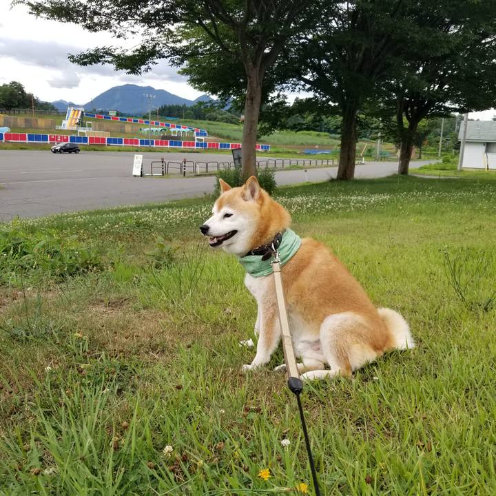 19de1b1d 448b 49c2 bcd9 1220530d5765 1657785481804