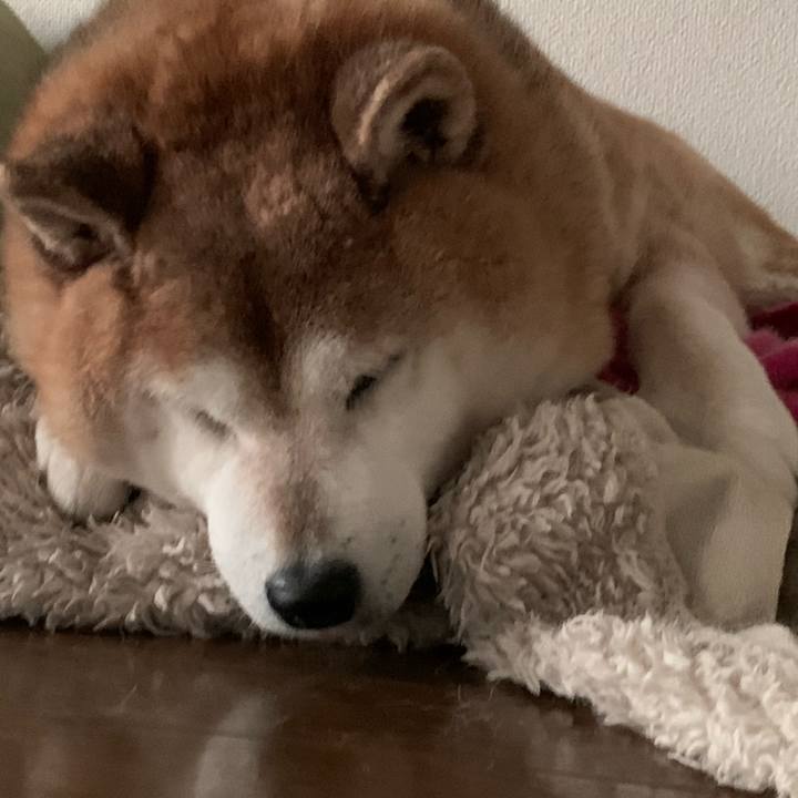 19de2226 d10c 475c 8715 8fa05df7a026 1579599966123