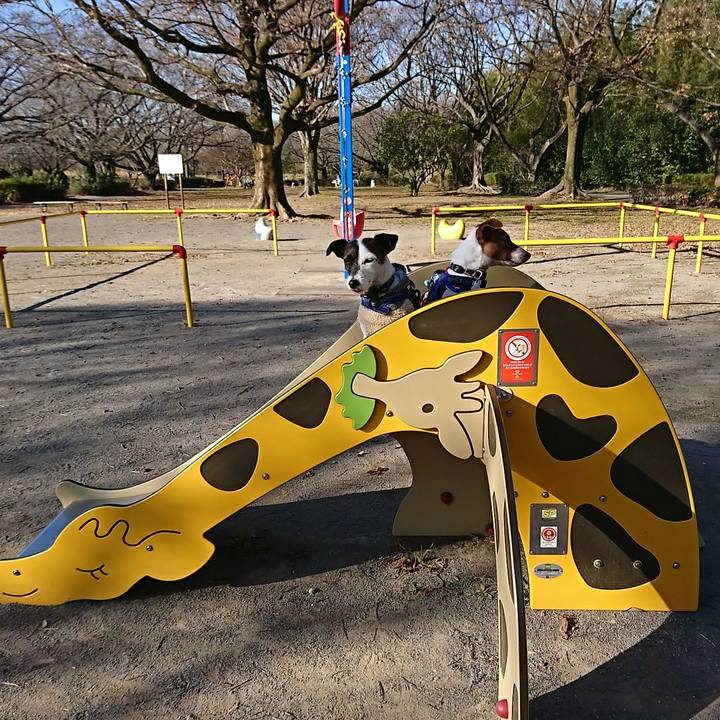 19defac2 28b7 4483 89e8 9df9d29f1500 1546236410858