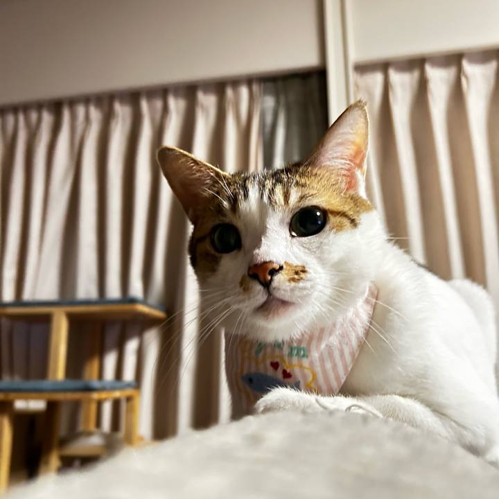 19df753c bab7 4a12 959a e994f9aab156 1759876705740