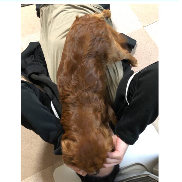 19dfa6ec 8a94 4777 8e6e bf3e091bc20c 1553095756856