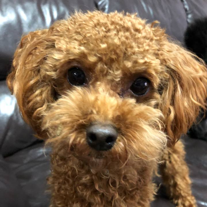 19dfd32c c2ac 4fe1 add6 9966e20e2d99 1512202648603