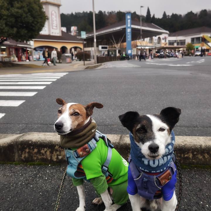 19dfd8e0 96b6 4ccf a817 ae37dc87a128 1765672779142