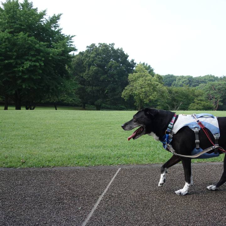 19e01172 fd86 4366 aadb d6baf2383c0f 1751845818726