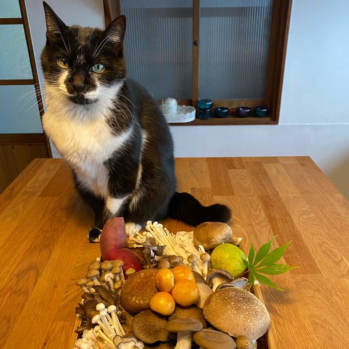 19e04c59 5498 4f6e 854e 0f18d0d51e5d 1604823398083