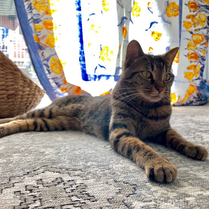 19e08ea5 ba2c 4a4b a0d1 f6db67799b82 1521246099537