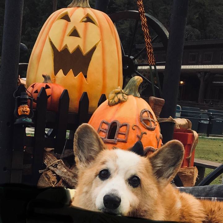 19e09a50 0f0d 4d52 8087 b5a0dbdfd62c 1571784422028