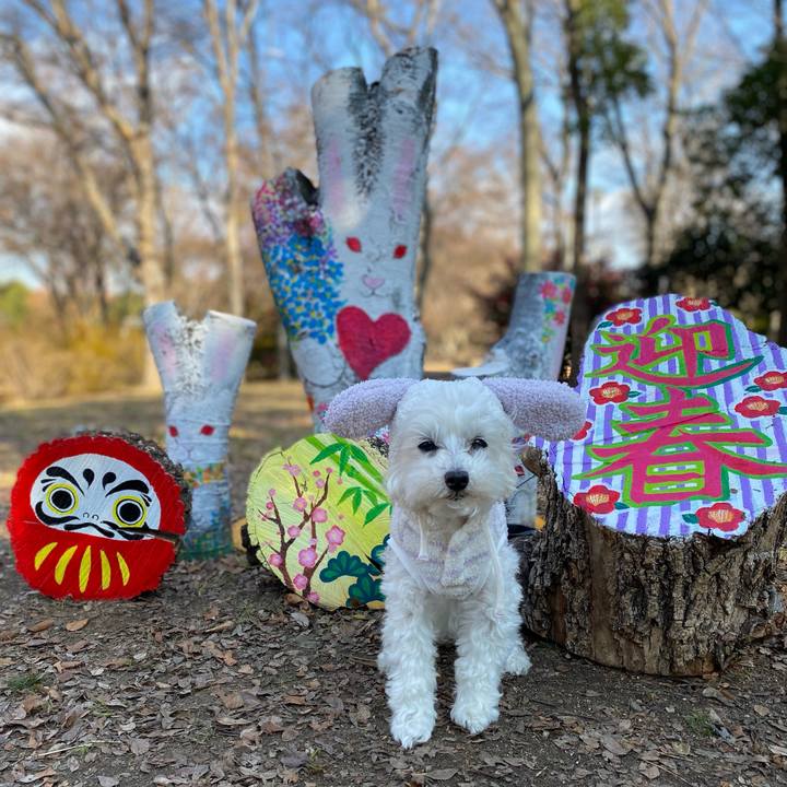 19e0ce2a 274d 4612 8b94 024704faf657 1672811586090