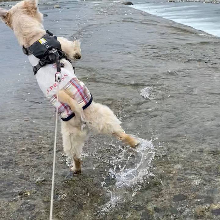 19e104ea 9e59 4c7e 9712 4915bc169e63 1589018660469