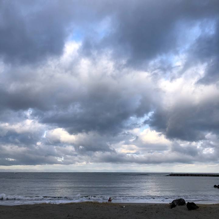 19e149b5 4c4e 42de be5d bf20a790ad78 1606864603368