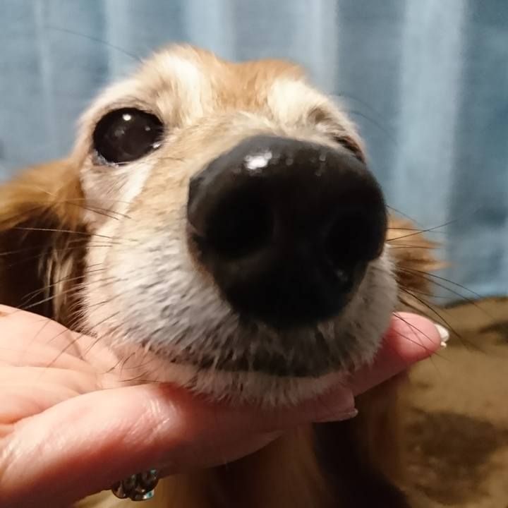 19e16f30 882f 4143 b6f5 ebef7d350b87 1515289617241