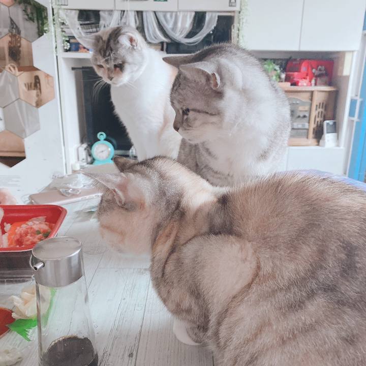 19e17ac7 e75d 4d82 b6c1 aeb7e643c6e7 1606910573932