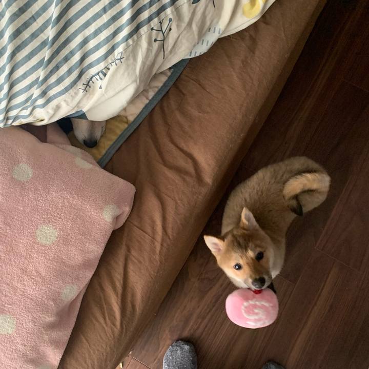 19e21d7f ba4b 40ff a7cc f2e71960ebc8 1619304169228