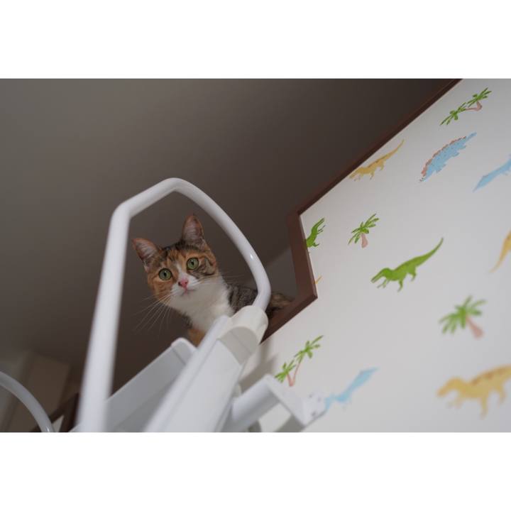 19e22ba4 effa 49e1 8834 19642dc9a6c1 1667694899449