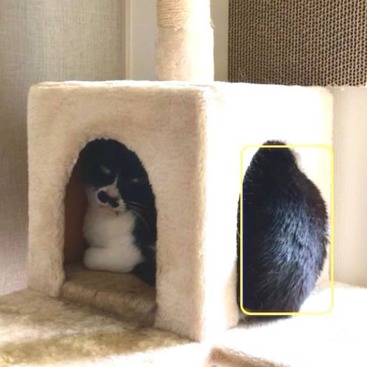 19e233b8 c2ad 4bd3 a2e8 004448b1c14b 1655510395186