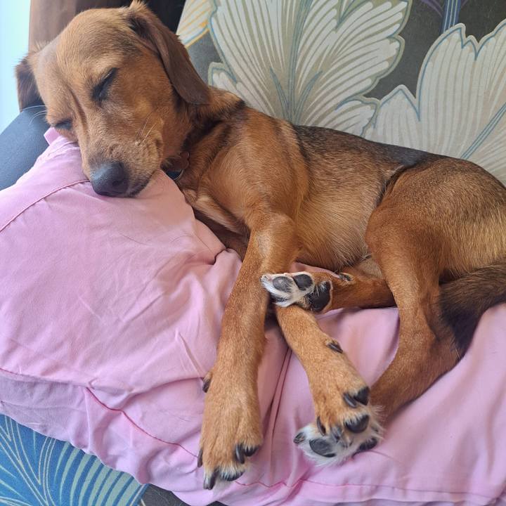 19e23d14 9c6f 4fb0 bb65 bf58fa95840b 1767916489340