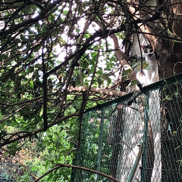 19e25f9e e499 4ce1 b6d8 6183e44a67c9 1537616485870