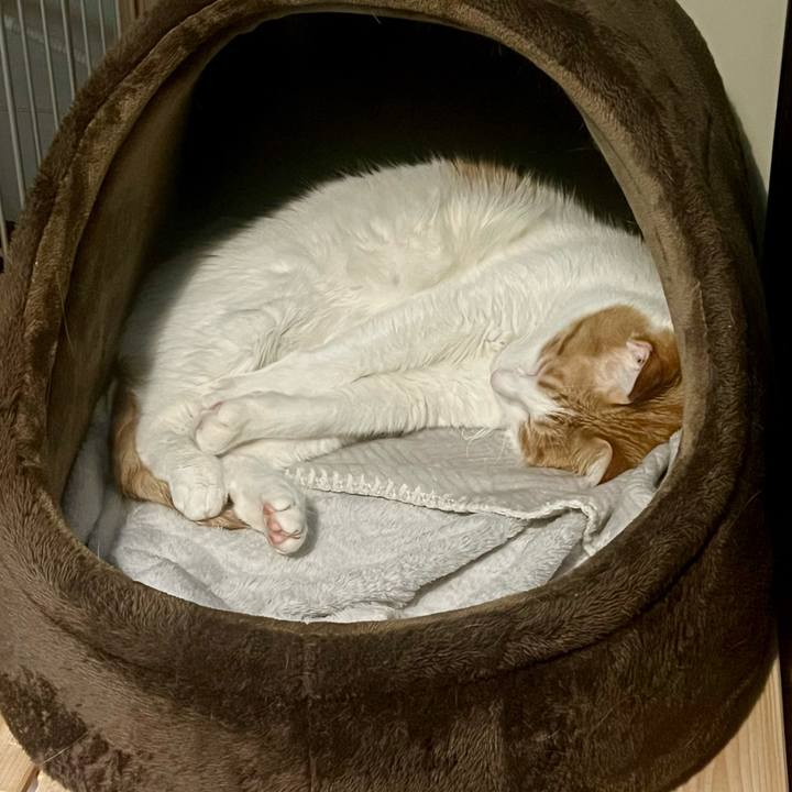 19e2605f 7623 46e8 84cc dc4ec19dc79c 1763007283070