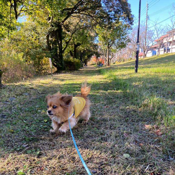 19e26790 adb4 4cc5 8838 7d9e59aa73aa 1638061293875