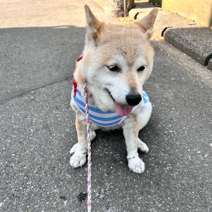 19e26a2a fd5a 46fc b4bc 5d3d952a1474 1747204268457