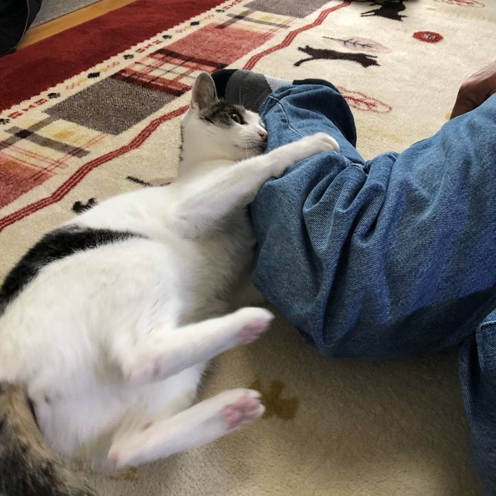 19e27017 5d15 44c0 9ec9 5830f3f958a1 1713828242975