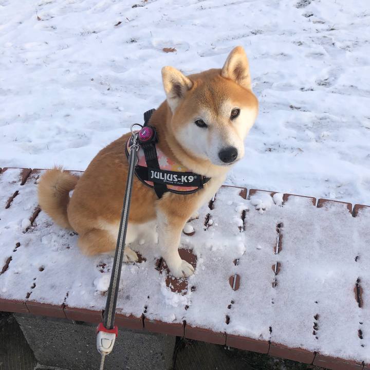 19e27fcd 0c9a 454e 93f3 20f7ae097418 1576208637405