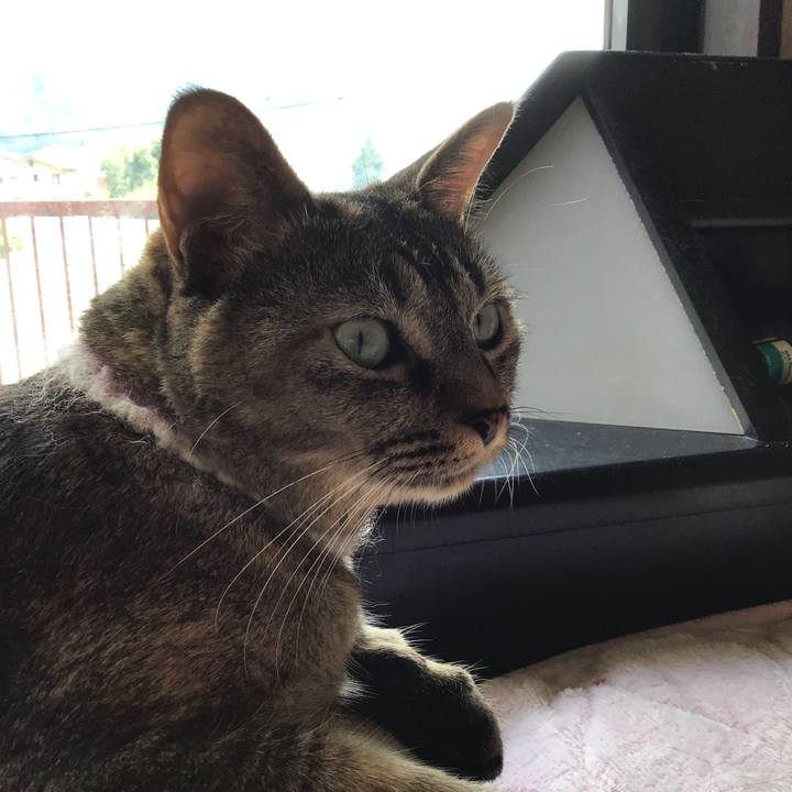 19e2c84d 7ea2 4af7 acb9 1f2fcd055078 1658556482953