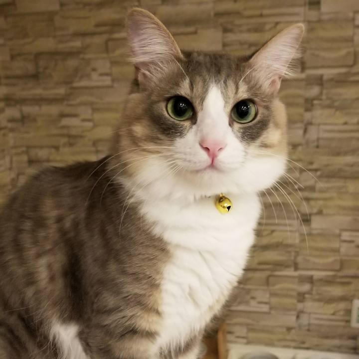 19e31b51 3aa6 492f 9e96 a2ea2566e931 1523691333349