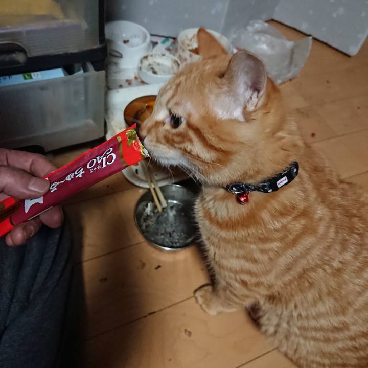 19e31b71 810a 4f5d 8969 68b00a9d7973 1639428528797