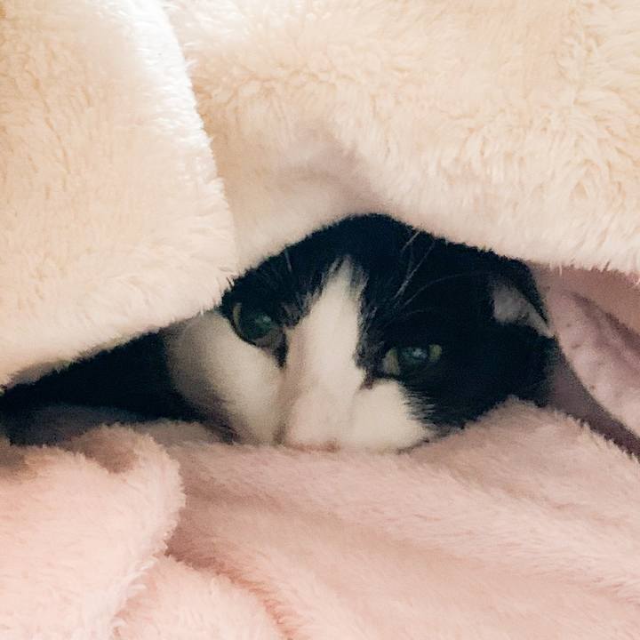 19e3214f 3fb4 454a 8418 173f7d93b2cc 1578184845254