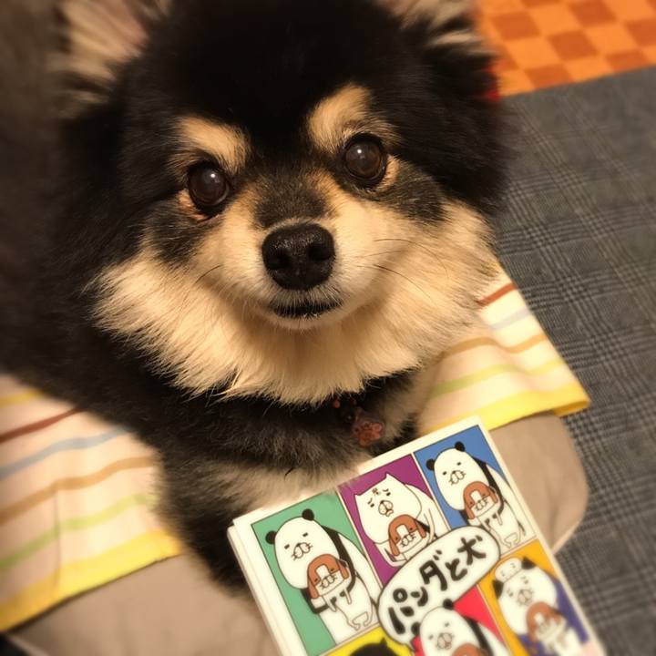 19e36667 1bac 46fe bd45 cb027872105c 1524583854707