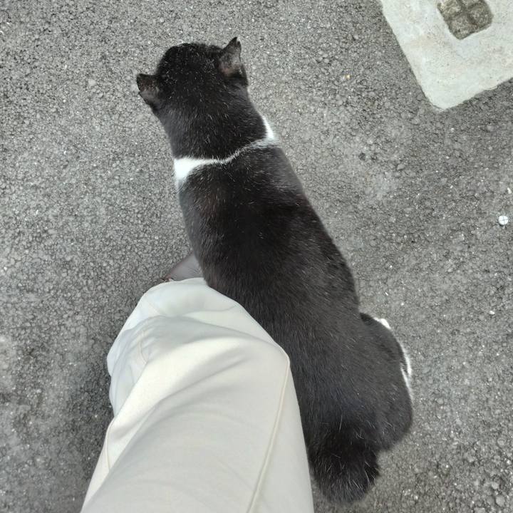 19e3839e 32f1 4796 b96a 05980a6aa6ea 1698800118253