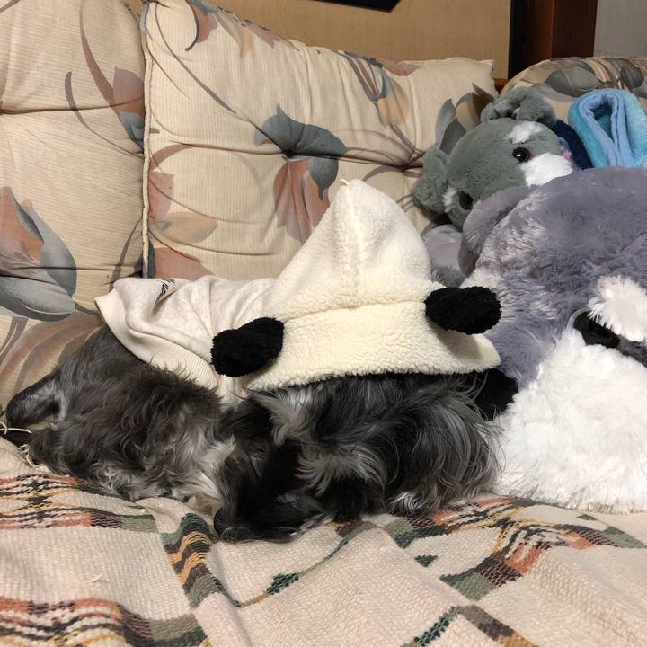 19e389c4 cc07 4aaf b654 50441a0babfb 1542531042702